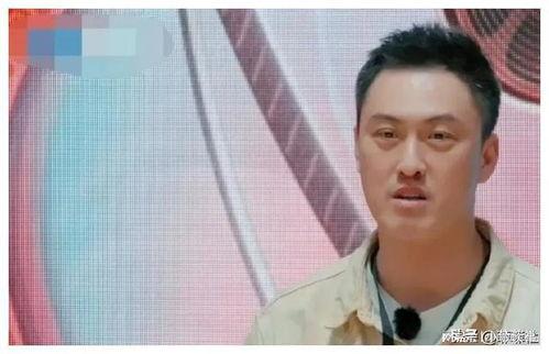 娱乐圈吃瓜爆料金