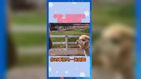 娱乐吃瓜122