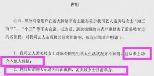 娱乐圈吃瓜爆料小作文